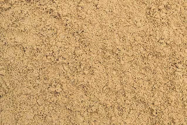 Equestrian Sand - Image 4
